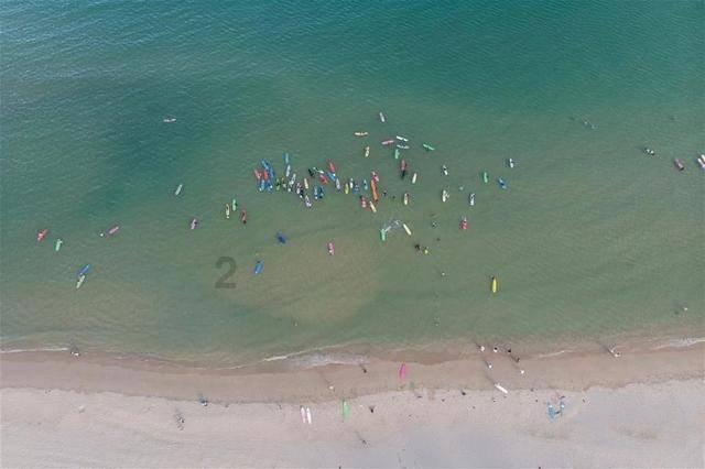 湖南浏阳：重拳出击治“四乱”，干群协作护碧水