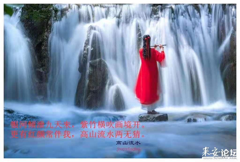 省政协常委高洪雷：资源丰富文化深厚，山东始终在“出圈”